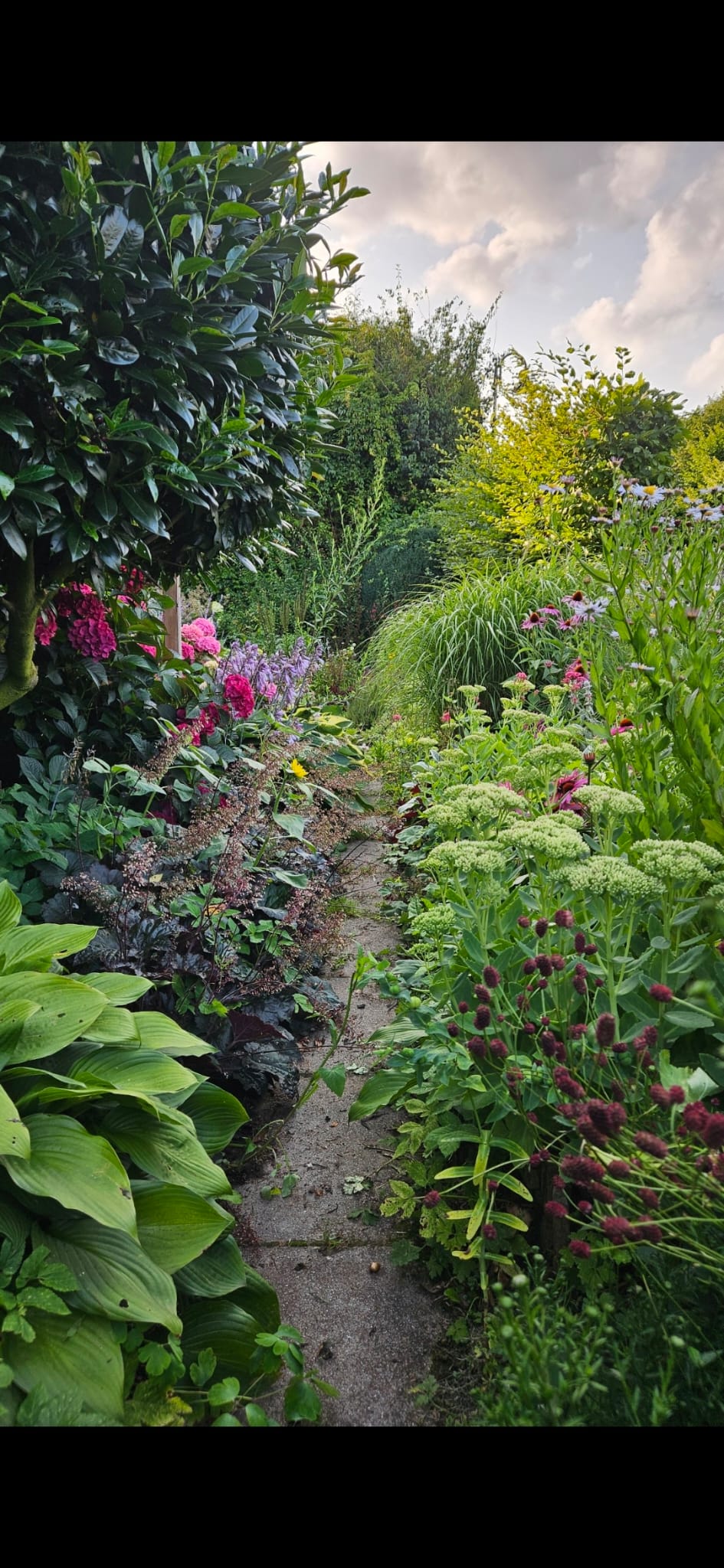 Den Garten organisch wachsen lassen
